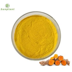 Curcumin extract powder