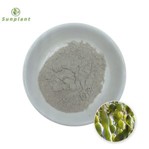 Genistein powder