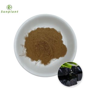 Shilajit extract powder